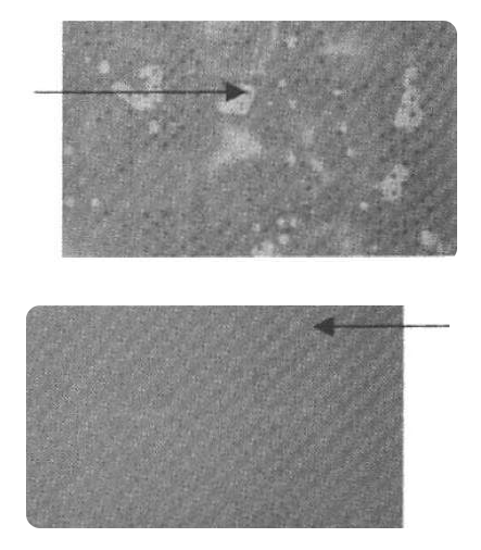 掃描圖對比 掃描圖對比